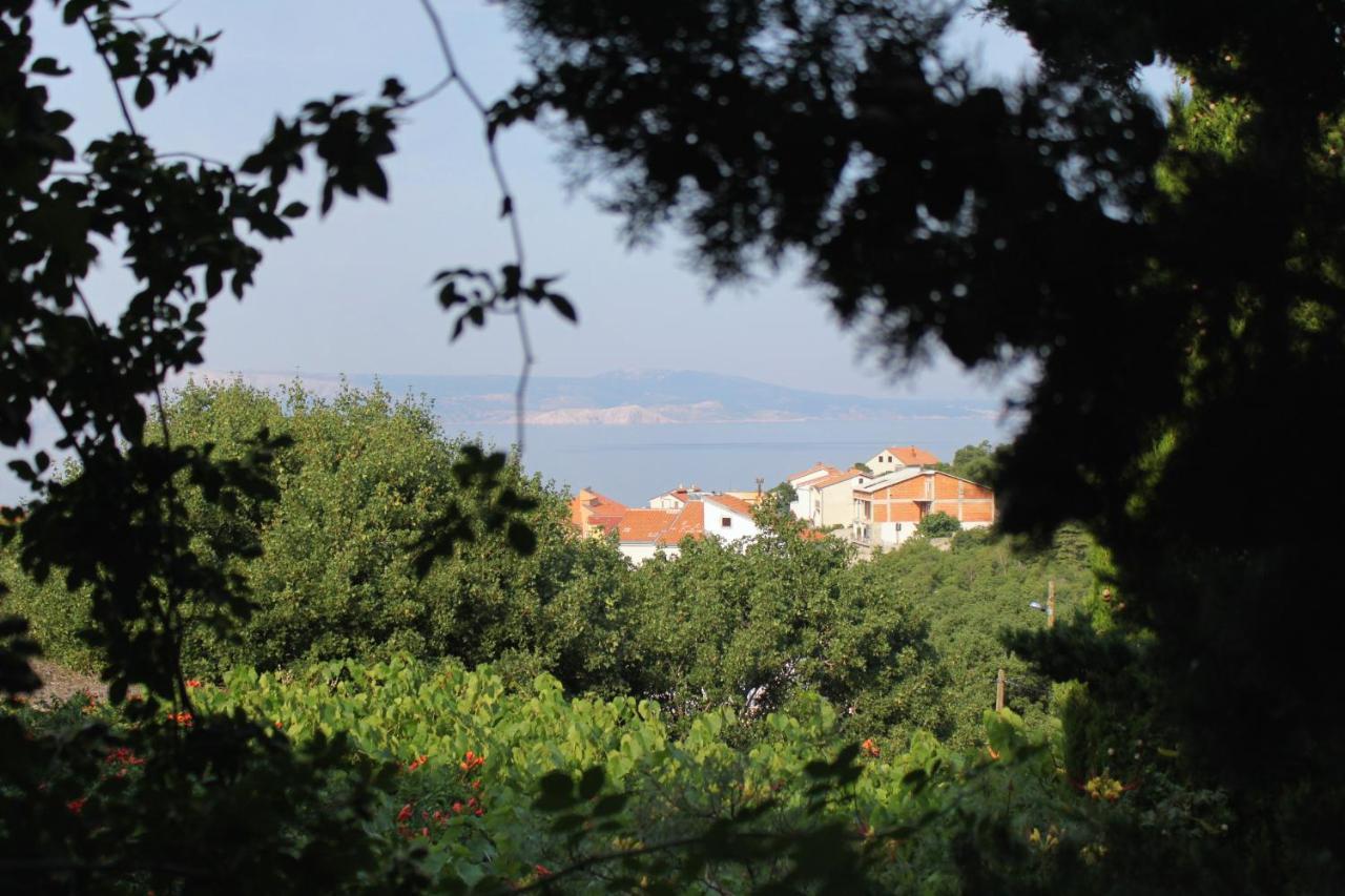Apartments And Rooms With Parking Space Klenovica, Novi Vinodolski - 5590 Ngoại thất bức ảnh